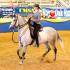 Paso Fino Grand Nationals